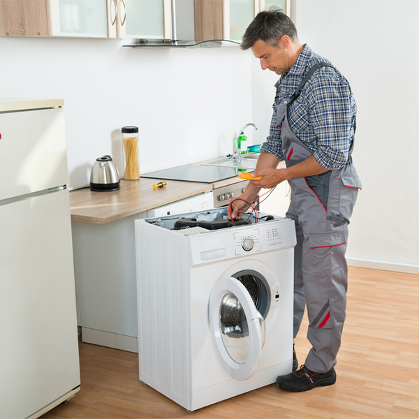 what are common issues that can arise with a washer in Roslyn